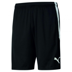 Puma-teamLIGA  Training Shorts SV Grün Weiss Siemerode