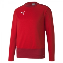 Puma-teamGOAL 23 Training Sweat 