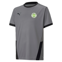 Puma-GOAL 23 Jersey JSG Dingelstädt Youngsters