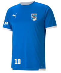 Puma-teamLIGA Jersey Jr TSV Aufbau 1952 Heiligenstadt Electric Blue Lemonade | 128