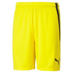 Puma-teamLIGA Shorts SV 1911 Dingelstädt