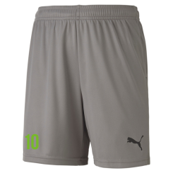 Puma-GOAL 23 knit Shorts JSG Dingelstädt Youngsters
