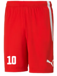 Puma-teamLIGA Shorts Jr TSV Aufbau 1952 Heiligenstadt