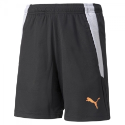Puma-teamLIGA Training Shorts2 Jr 