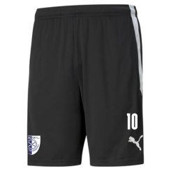 Puma-teamLIGA  Training Shorts 1. SC 1911 HEILIGENSTADT Puma Black-Puma White | S