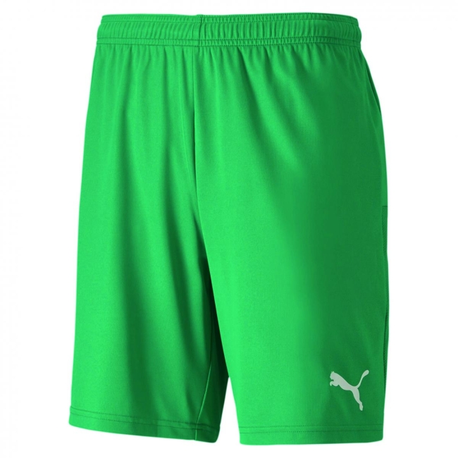 Puma-teamGOAL 23 knit Shorts VFL Hüpstedt 1892 Pepper Green | XXL