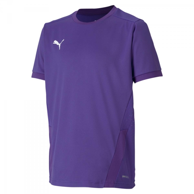 Puma-teamGOAL 23 Jersey jr Prism Violet-Tillandsia | 176