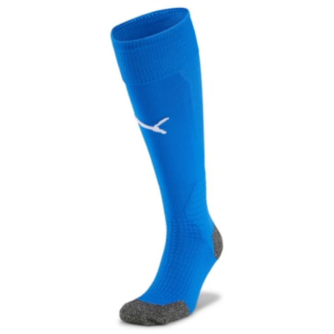 Puma-Team LIGA Socks FSV Wacker 90 Nordhausen Electric Blue L.-Puma White | 1