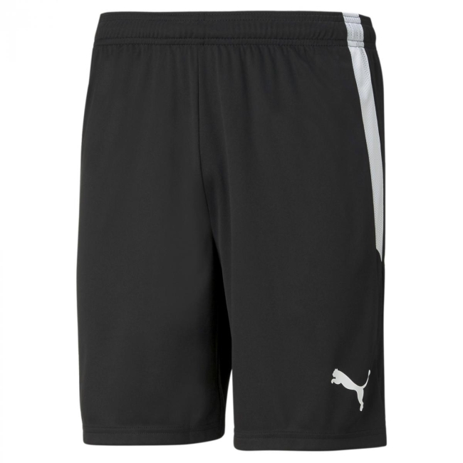 Puma-teamLIGA Shorts FSV 1920 Geismar Puma Black-Puma White | M