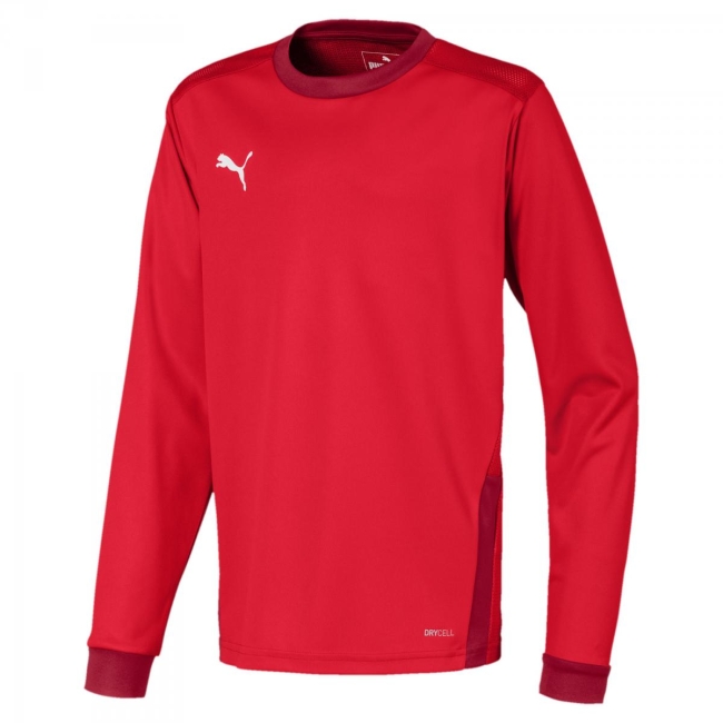 Puma-teamGOAL 23 Jersey LS jr 