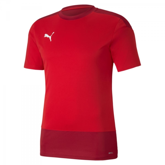 Puma-teamGOAL 23 Training Jersey 