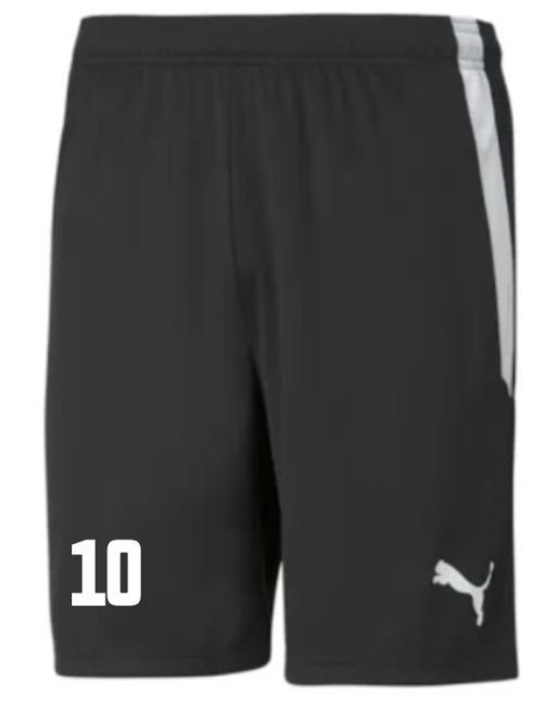 Puma-teamLIGA Shorts Jr TSV Aufbau 1952 Heiligenstadt Puma Black-Puma White | 176