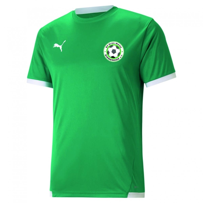 Puma-teamLIGA Jersey SV Grün Weiss Siemerode 