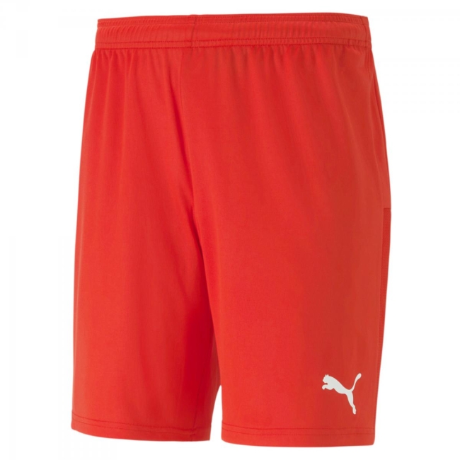 Puma-teamGOAL 23 knit Shorts 