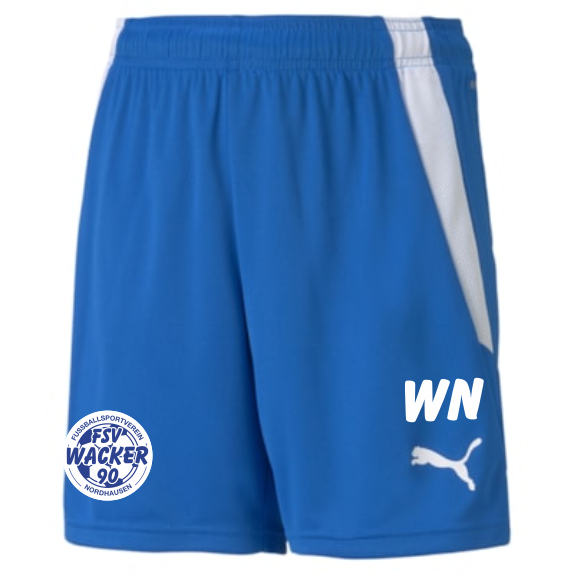 teamLIGA Shorts Jr FSV Wacker 90 Nordhausen blue | 104