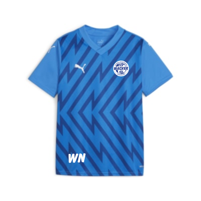 teamGLORY Jersey Jr FSV Wacker 90 Nordhausen blue | 116