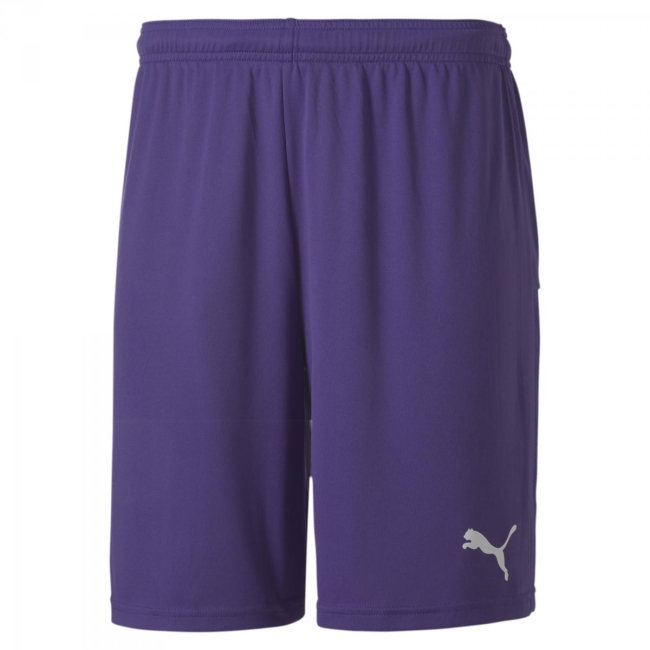 Puma-teamGOAL 23 knit Shorts Prism Violet | 3XL