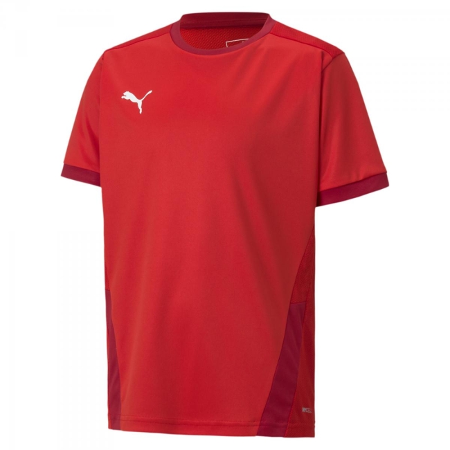 Puma-teamGOAL 23 Jersey jr 