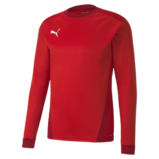 Puma-teamGOAL 23  Jersey LS 