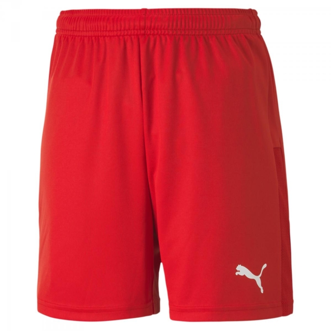 Puma-teamGOAL 23 knit Shorts jr 