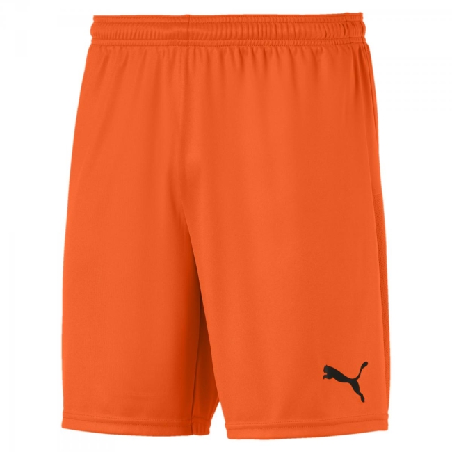 Puma-teamGOAL 23 knit Shorts GOLDEN POPPY | L