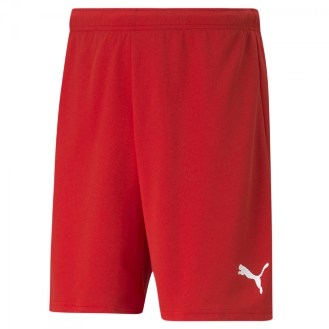 Puma-teamRISE Short 