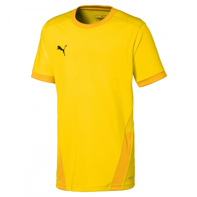 Puma-teamGOAL 23 Jersey jr Cyber Yellow-Spectra Yellow | 176