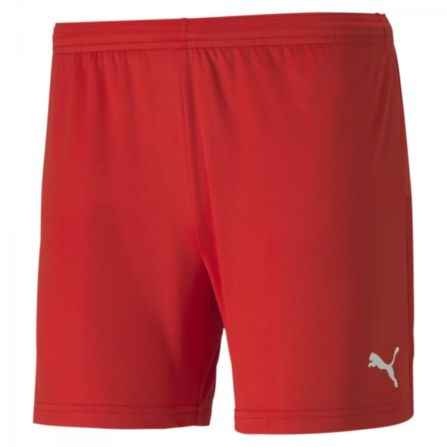 Puma-teamGOAL 23 knit Shorts  W 