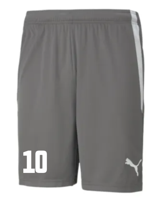 teamLIGA Shorts Jr TSV Aufbau 1952 Heiligenstadt gray | 110