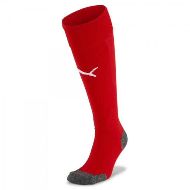 Puma-Team LIGA Socks 