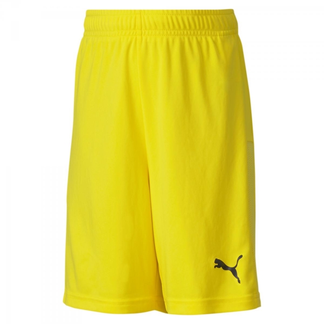 Puma-teamGOAL 23 knit Shorts jr Cyber Yellow | 176