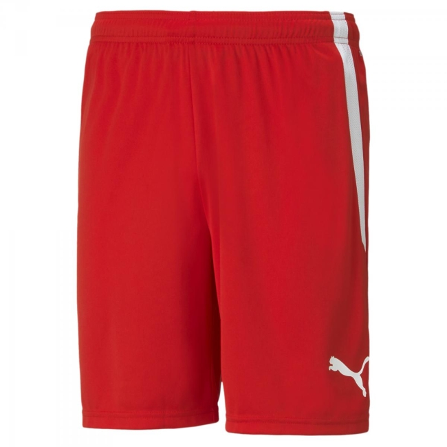 Puma-teamLIGA Shorts 