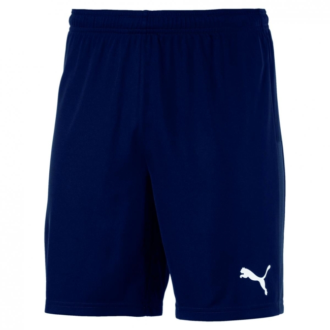 Puma-teamGOAL 23 knit Shorts TSV Aufbau 1952 Heiligenstadt Peacoat | M