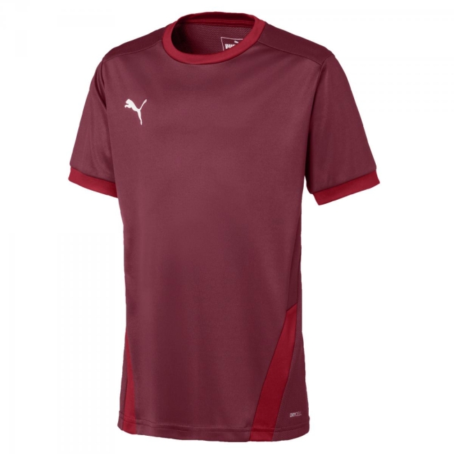 Puma-teamGOAL 23 Jersey jr Cordovan-Chili Pepper | 116