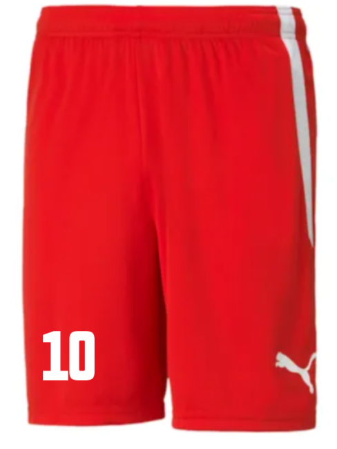 Puma-teamLIGA Shorts Jr TSV Aufbau 1952 Heiligenstadt Puma Red-Puma White | 176
